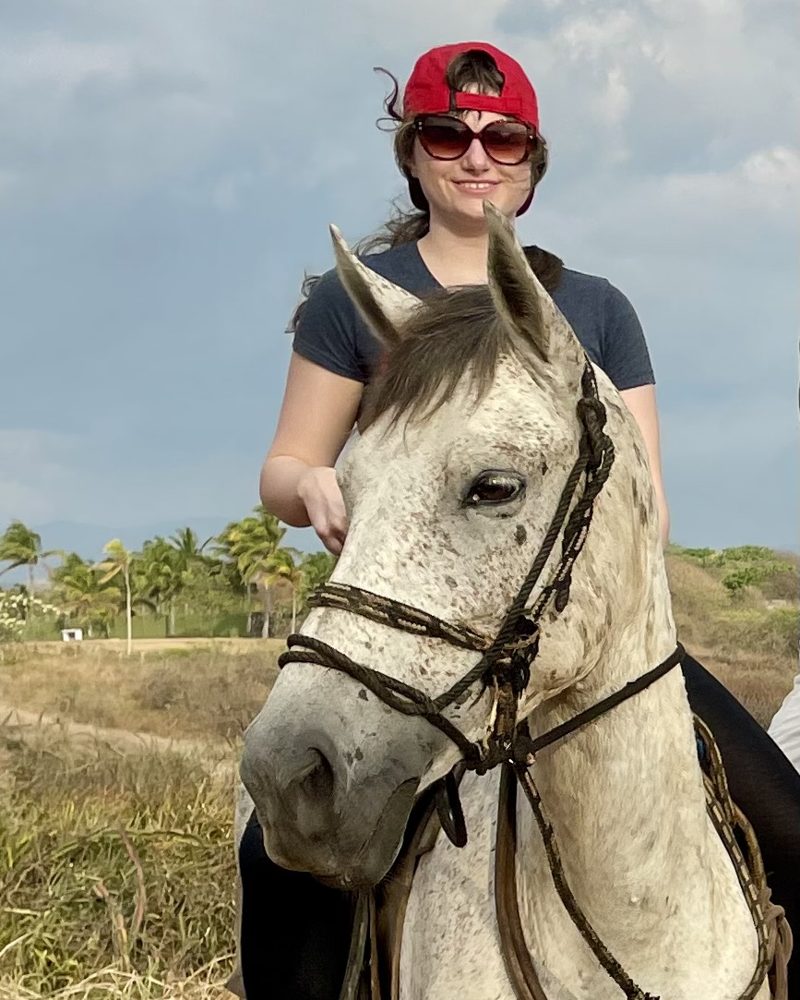 Tequila, a grey appaloosa horse